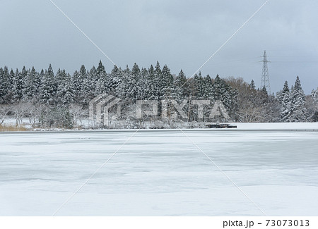 凍った池 凍った池 73073013