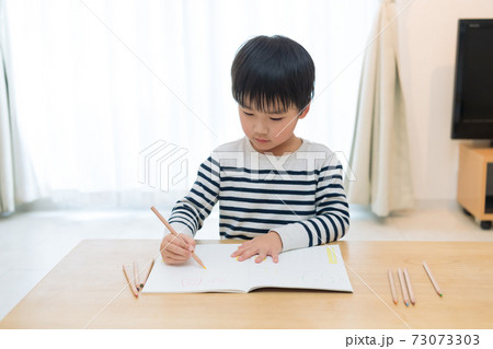 自宅学習する男の子 73073303