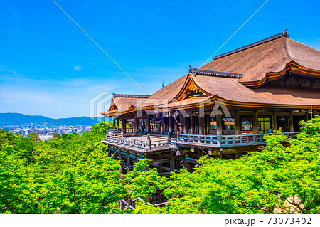 新緑の清水寺 新緑の清水寺 73073402