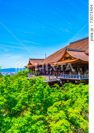 新緑の清水寺 73073404