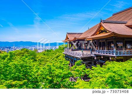 新緑の清水寺 73073408