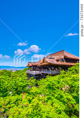 新緑の清水寺 73073409