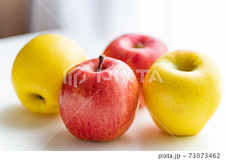 秋の味覚林檎サンフジとシナノゴールド 73073462