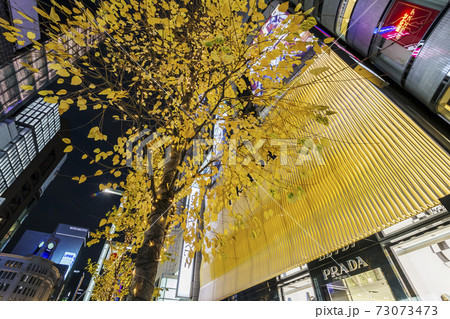 銀座の街並 夜景 ライトアップ ショーウィンドウ 銀座の街並 夜景 ライトアップ ショーウィンドウ 73073473