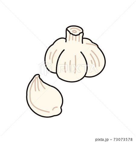 にんにくのイラストのイラスト素材 にんにくのイラストのイラスト素材
