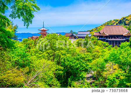 新緑の清水寺 新緑の清水寺 73073668