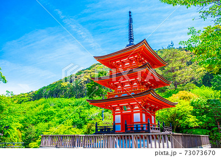 新緑の清水寺の子安塔 73073670