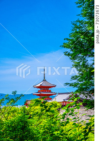 新緑の清水寺三重塔 73073673