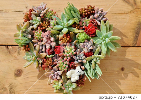カラフルな多肉植物でアレンジしたハートとテディベア  カラフルな多肉植物でアレンジしたハートとテディベア  73074027