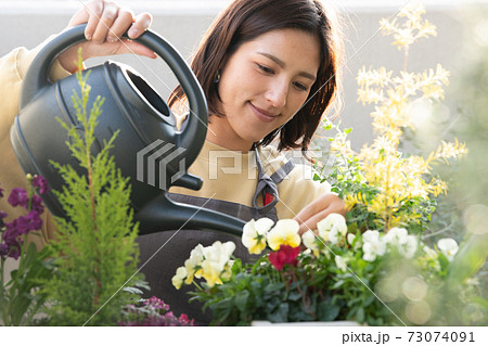 ガーデニング・寄せ植えの手入れをする女性 73074091