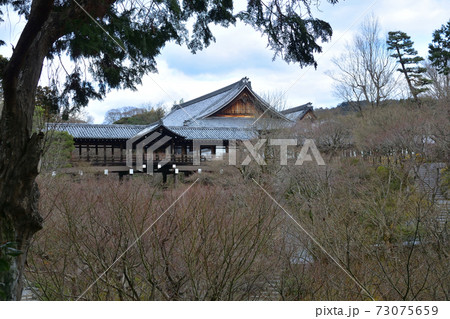 東福寺通天橋 73075659