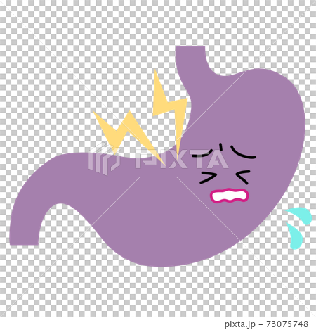 Stomach upset or pain Stomach upset or pain 73075748