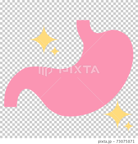 きれいな胃 73075871