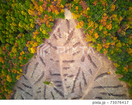 森林 森 山 73076417