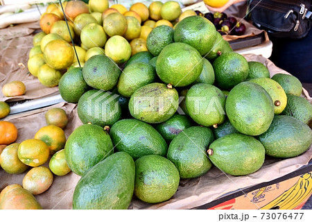 ハワイの休日 73076477