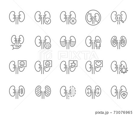 Set of human kidneys line icon. Healthy internal organ, diagnosis, treatment and more. 73076965