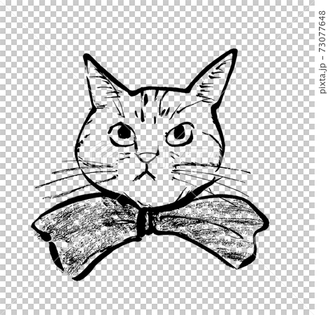 筆で書いた猫のイラスト素材 [73077648] - PIXTA