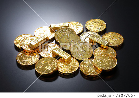 金貨イメージ 73077657