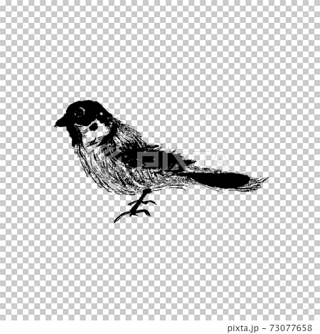 水墨画のとりのイラスト素材 [73077658] - PIXTA