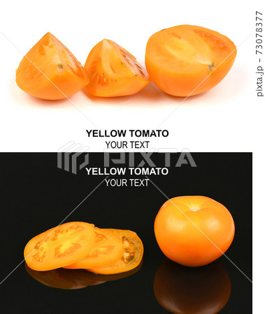 Creative layout made of yellow tomato. Food concept. Creative layout made of yellow tomato. Food concept. 73078377