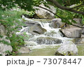新緑と渓流 73078447