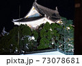 夜の城 73078681