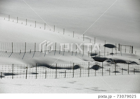 積雪 モノトーン 雪景色 73079025