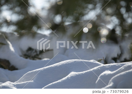 冬 雪景色 積雪 73079026
