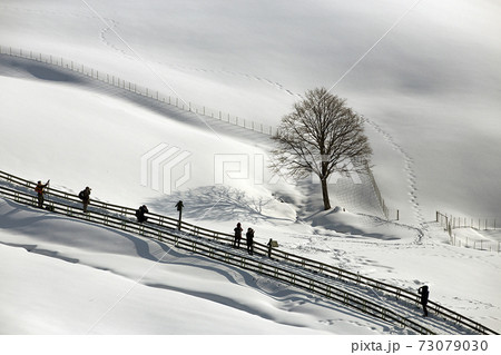 冬 雪景色 足跡 73079030
