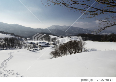 目 冬 山 73079031