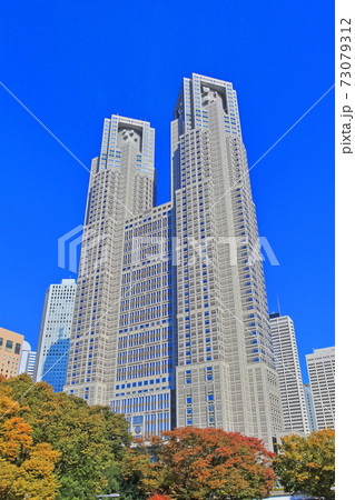 【東京都】紅葉の東京都庁(第一本庁舎) 【東京都】紅葉の東京都庁(第一本庁舎) 73079312