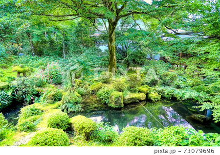 大原三千院の庭園 大原三千院の庭園 73079696