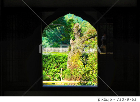 大原三千院の庭園 大原三千院の庭園 73079763