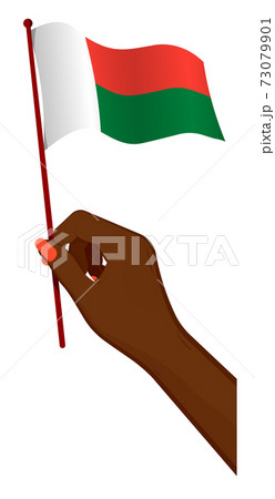 Female hand gently holds small flag of madagascar. Holiday design element. Cartoon vector on white background