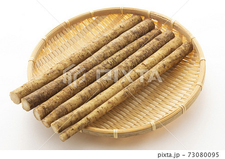 洗い牛蒡 73080095