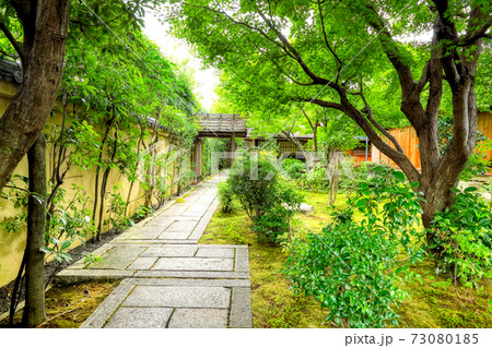 大徳寺塔頭黄梅院 73080185