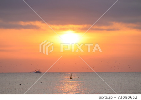 愛知県 伊良湖岬から眺める日の出 愛知県 伊良湖岬から眺める日の出 73080652