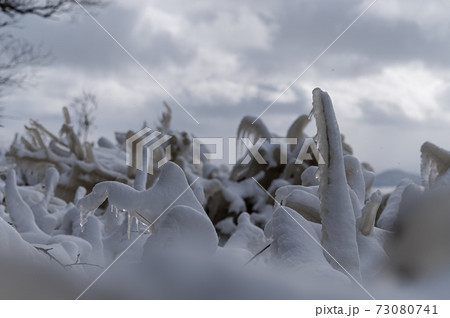 福島県猪苗代湖のしぶき氷 73080741