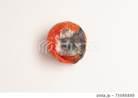 Rotten tomato with mold and fungi closeup on a white background 73080889