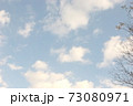 空と雲と枝 空と雲と枝 73080971