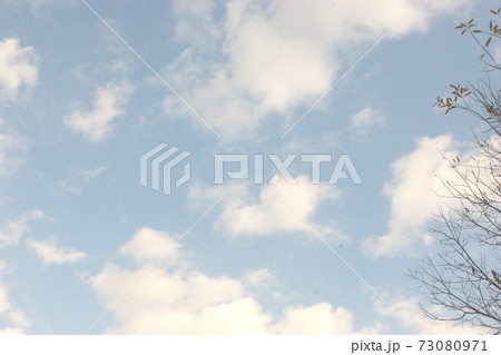 空と雲と枝 空と雲と枝 73080971