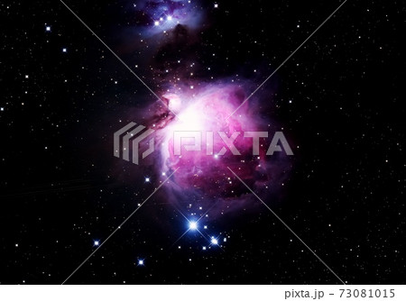 オリオン大星雲 73081015