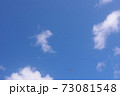 鳶と青空 鳶と青空 73081548