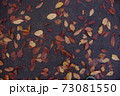 落ち葉 落ち葉 73081550