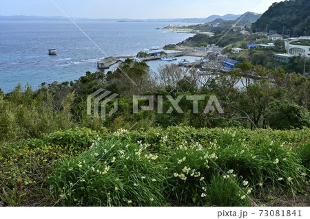 館山市洲埼灯台から館山湾を望む 館山市洲埼灯台から館山湾を望む 73081841