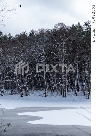 凍結した湖と湖畔の森　雪景色 73082003