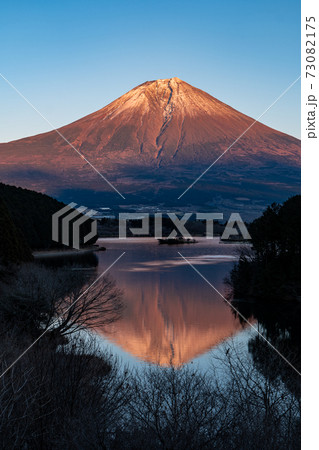 冬の夕暮れの富士山と田貫湖の風景　1月 73082175