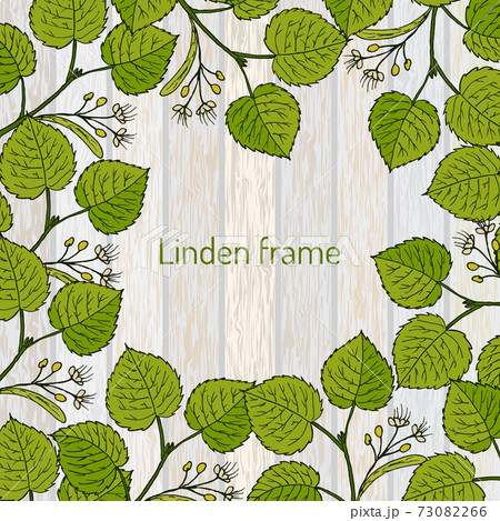 Frame with linden branches template 73082266