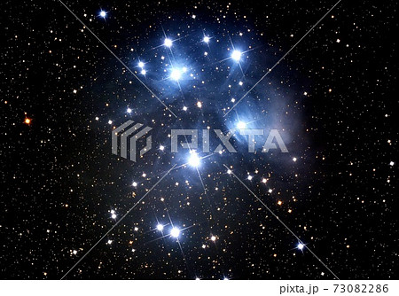 プレアデス星団 プレアデス星団 73082286