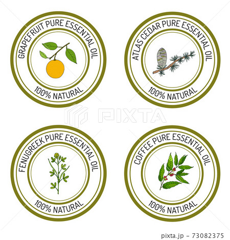 Set of essential oil labels Set of essential oil labels 73082375